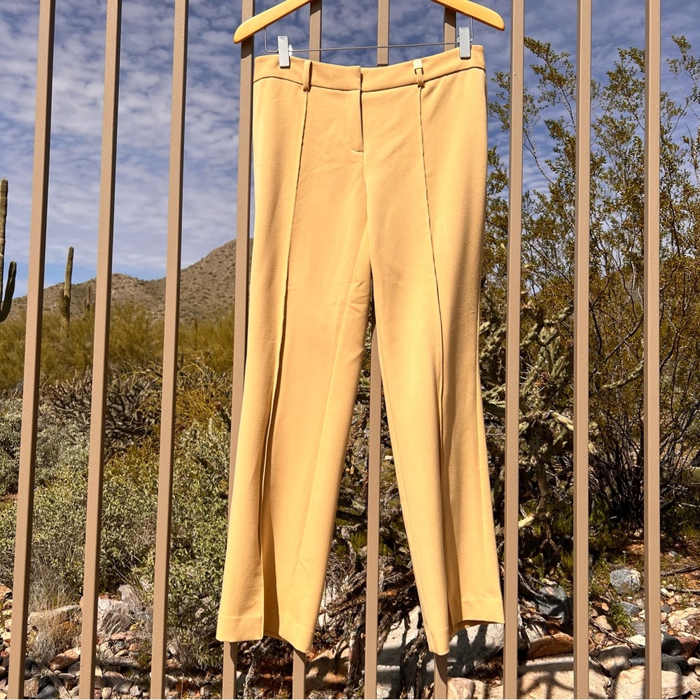 ⬇️💲Anne Klein Women’s Zipper Front Dress Pants Size 6P Color Tan
